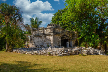 Obraz premium Playacar Mayan ruins in the forest park in Playa del Carmen, Yucatan, Mexico