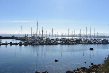 boats in marina