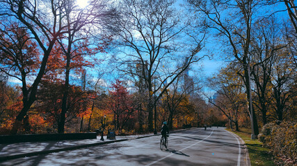 Cycle road autumn in the park