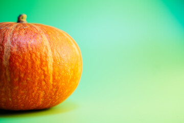 A pumpkin on green background,copy space