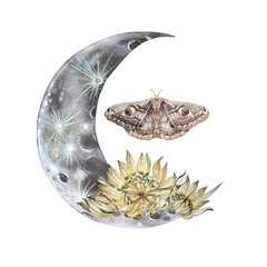 Watercolor magic moon with moth and boho flower isolated on white background. Hand-drawn night month for sticker or wallpaper. Hippie style for wrapping. Object on sky. Clipart for sketchbook