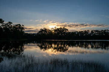 Sunrise over Long Pine Key in Everglades National Park, Florida on sunny autumn morning.