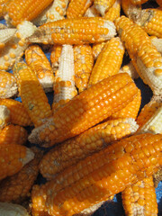 yellow corn that is dried in the sun so it doesn't get moldy