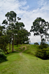 path to a summit cross in green nature with trees