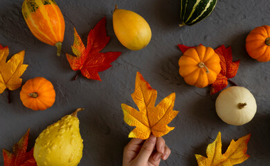 Autumn background. Pumpkin and maple leaves on gray background. Autumn fall, Harvest, Thanksgiving holiday, Halloween, etc.　秋の背景素材。グレー背景上のパンプキンと楓の葉。秋、ハロウィン、収穫祭、感謝祭など