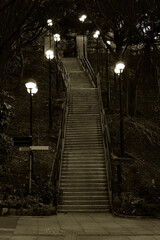 uphill stairway with street light in park