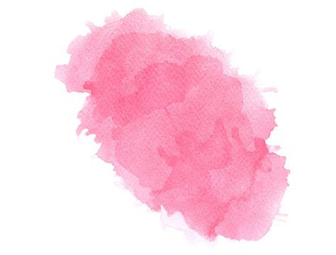 pink rose watercolor.