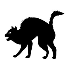 Angry black cat
