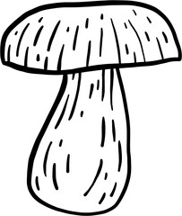 doodle freehand sketch drawing of bolete mushroom. 