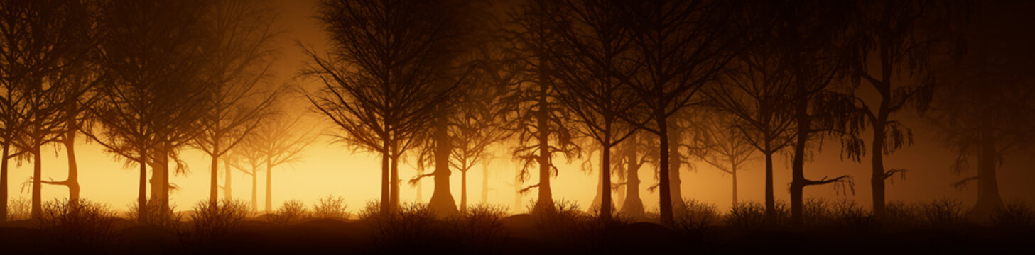 Winter Trees Silhouetted in Orange Fog. Dramatic, Snow covered Woodland scene. Seasonal Banner.