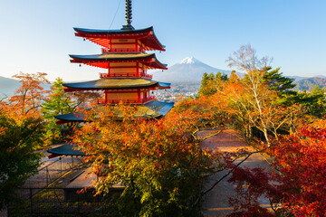 Obraz premium Fuji Mountain and Chureito Pagoda with Colorful sakura leaves in autumn , Japan 