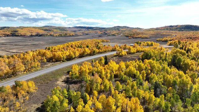 Aerial autumn mountain aspen forest road . Beautiful season Autumn fall colors in Maple, Oak and Pine forest. Central Utah. Travel destination. Golden yellow, golden, red and orange leaves. Exploring.