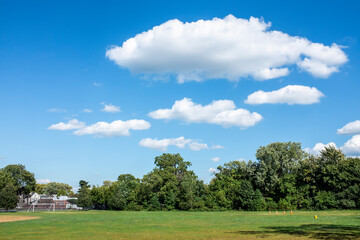 trees and blue sky