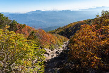 美しい山の紅葉　御嶽山