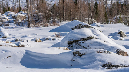 Large picturesque boulders lie in snowdrifts. A layer of untouched snow on the rocks. Bare trees in the distance. Light and shadows. Altai