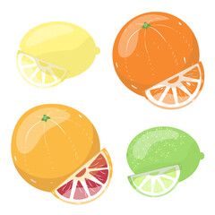 Set of citrus fruit. Fresh lemon, orange, lime and grapefruit. Juicy fruit slices. Vector illustration for design and print.	