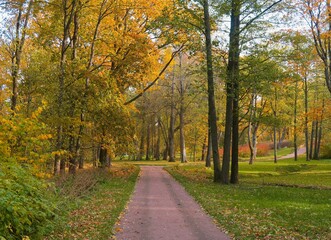 Fototapeta premium autumn in the park