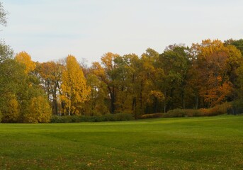 autumn in the park