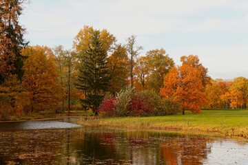 autumn in the park