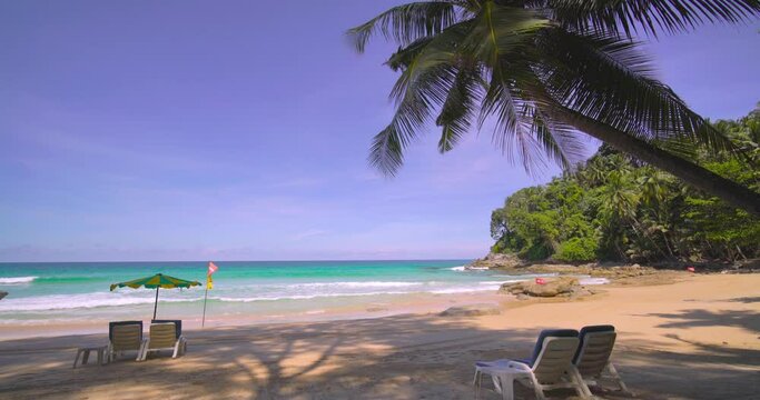 Coconut tree on beach sea blue sky background
