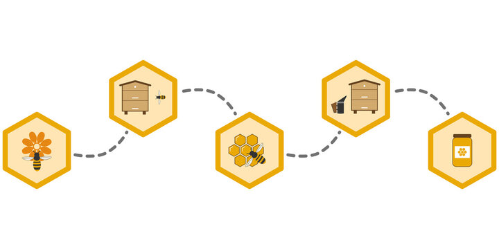 Honey making process, graphic with color hexagons and flat icon