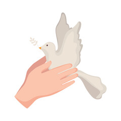 hands lifting dove