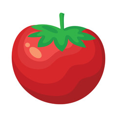 tomato fresh vegetable