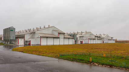 Fototapeta na wymiar Exterior view of big poultry farm.