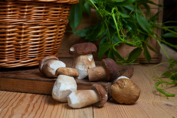 Several porcini mushrooms on wooden background at autumn season..