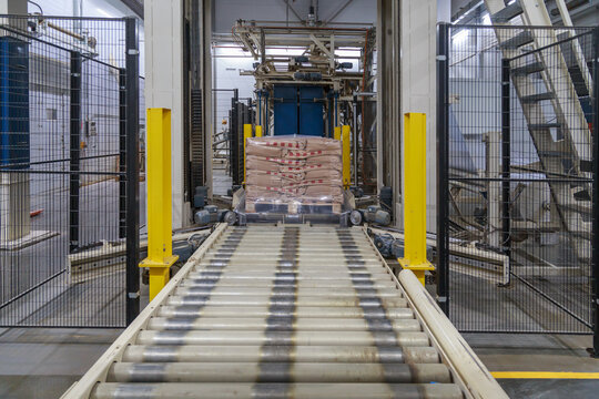 Packaging line of poultry farm production.