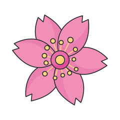 pink lotus flower