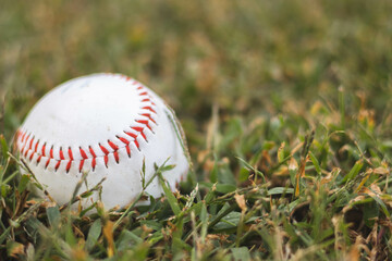 baseball in grass