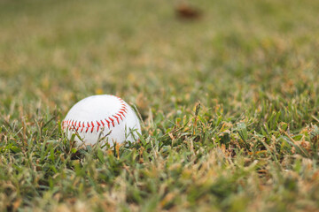 baseball on grass