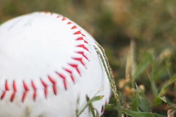baseball in grass