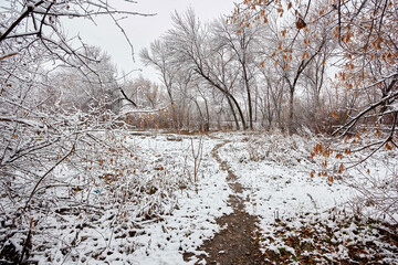 Winter city landscape. Winter park covered with snow.