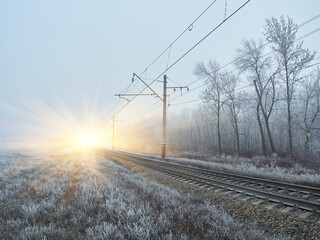 Fototapeta na wymiar Train tracks in winter with frost covering around everywhere