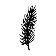 Black silhouettes pine branches on white background. Isolated vector elements for banner, poster or package decoration.