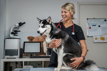Photo of glad female vet checking up cheerful pedigreed dog in modern veterinary clinic.
