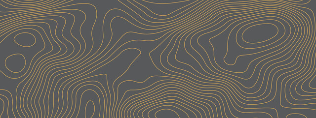 The stylized multicolored wavy abstract topographic map contour, lines Pattern background. Topographic map and landscape terrain texture grid. Wavy banner and color geometric form. Vector illustration
