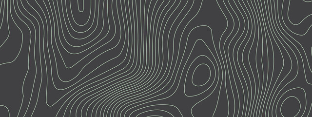 Black and white wavy abstract topographic map contour, lines Pattern background. Topographic map and landscape terrain texture grid. Wavy banner and color geometric form. Vector illustration.