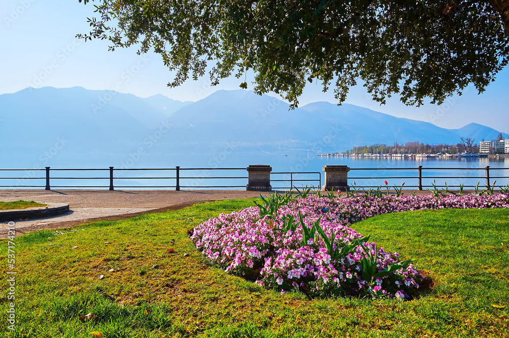 Wall mural The flower bed in park on Lake Maggiore, Locarno, Switzerland