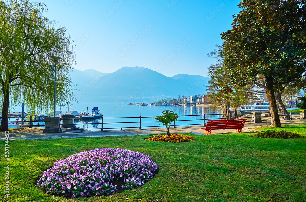 Wall mural Hazy morning park on Lake Maggiore, Locarno, Switzerland