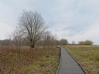 Boardwalk along wetlands and forests of Paljasaare peninsula near Tallinn, Estonia 