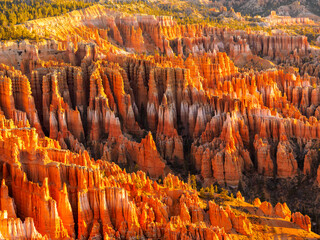Hoodoos at Bryce Canyon National Park Utah USA