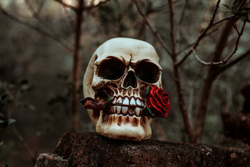 scary skull on the ruined wall of an abandoned house