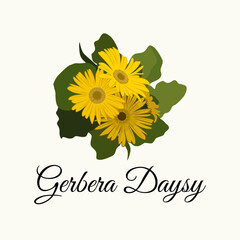 gerbera daysy flowers illustration vector