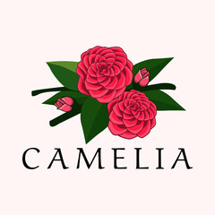 camellia flower logo brand design vector