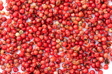 Pink peppercorns seeds isolated on white background.