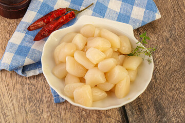Raw scallop seafood in the bowl