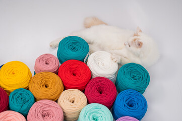 Close-up of a whiting fluffy cat among multicolored cotton skeins.